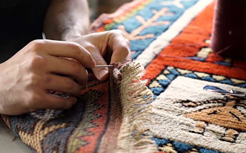 ترمیم ریشه